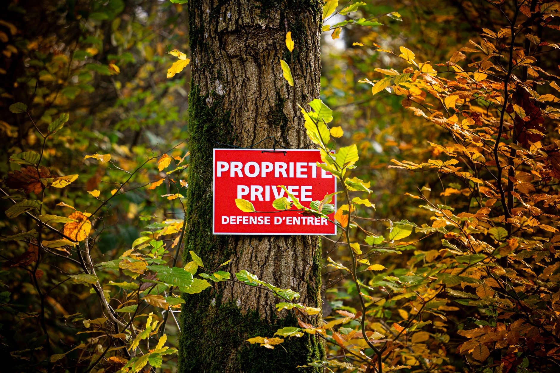 Détective privé à Clermont-Ferrand